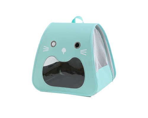 Рюкзак-переноска для животных кошек и собак Taotaopets 247723 Turquoise