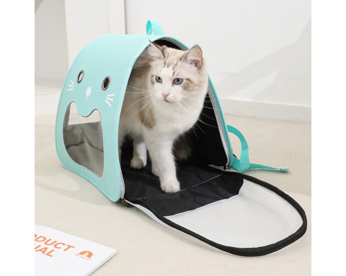 Рюкзак-переноска для животных кошек и собак Taotaopets 247723 Turquoise