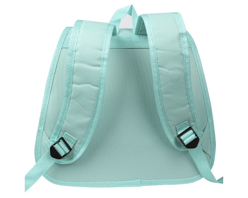 Рюкзак-переноска для животных кошек и собак Taotaopets 247723 Turquoise